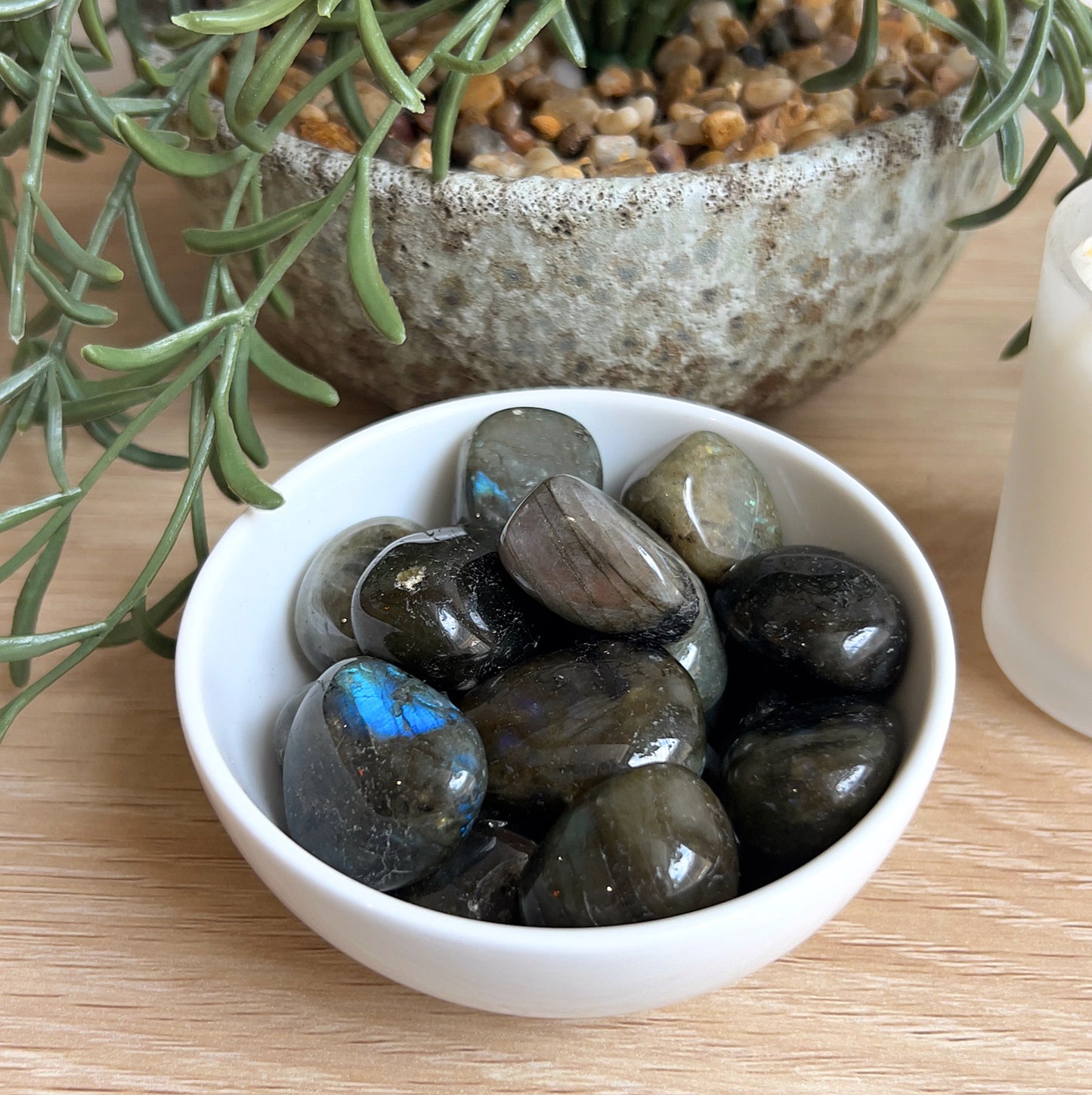 Labradorite tumbles stones, white dish, potted plant on wooden surface.