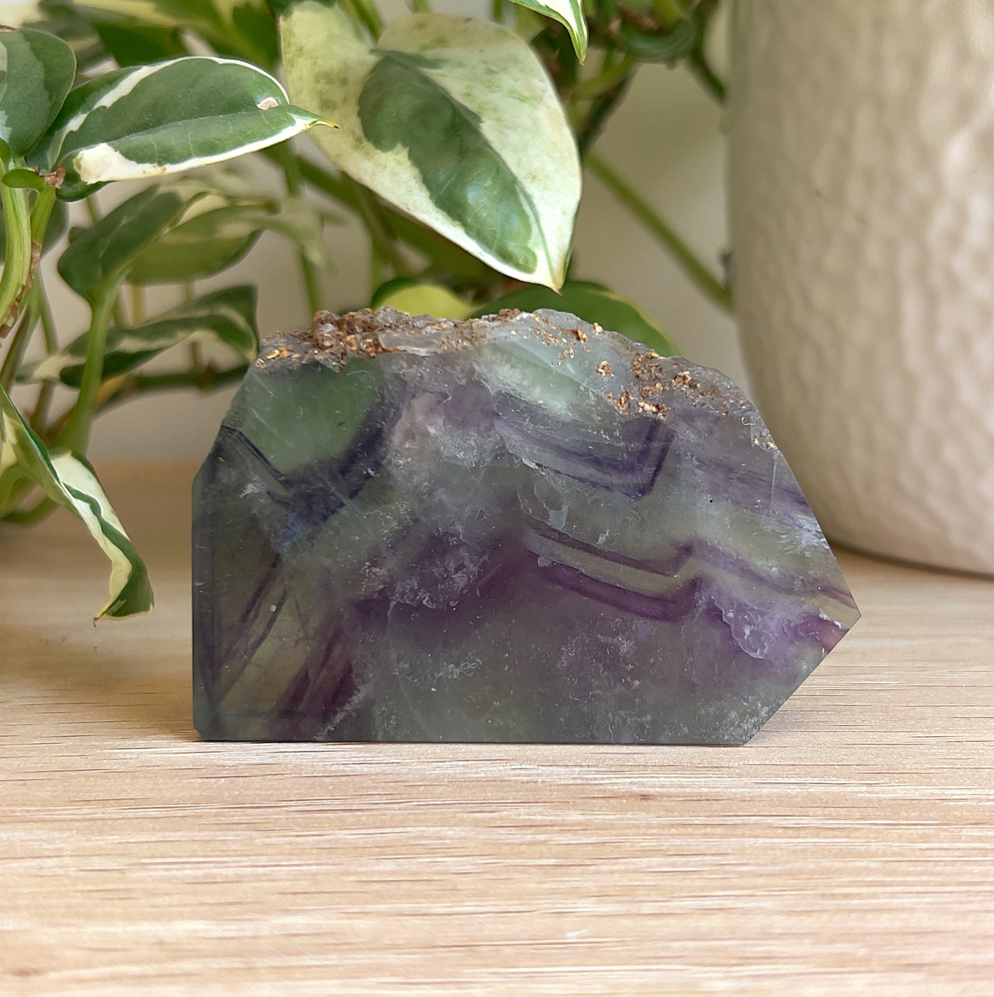Rainbow Fluorite polished slice on wooden surface with a plant in the background