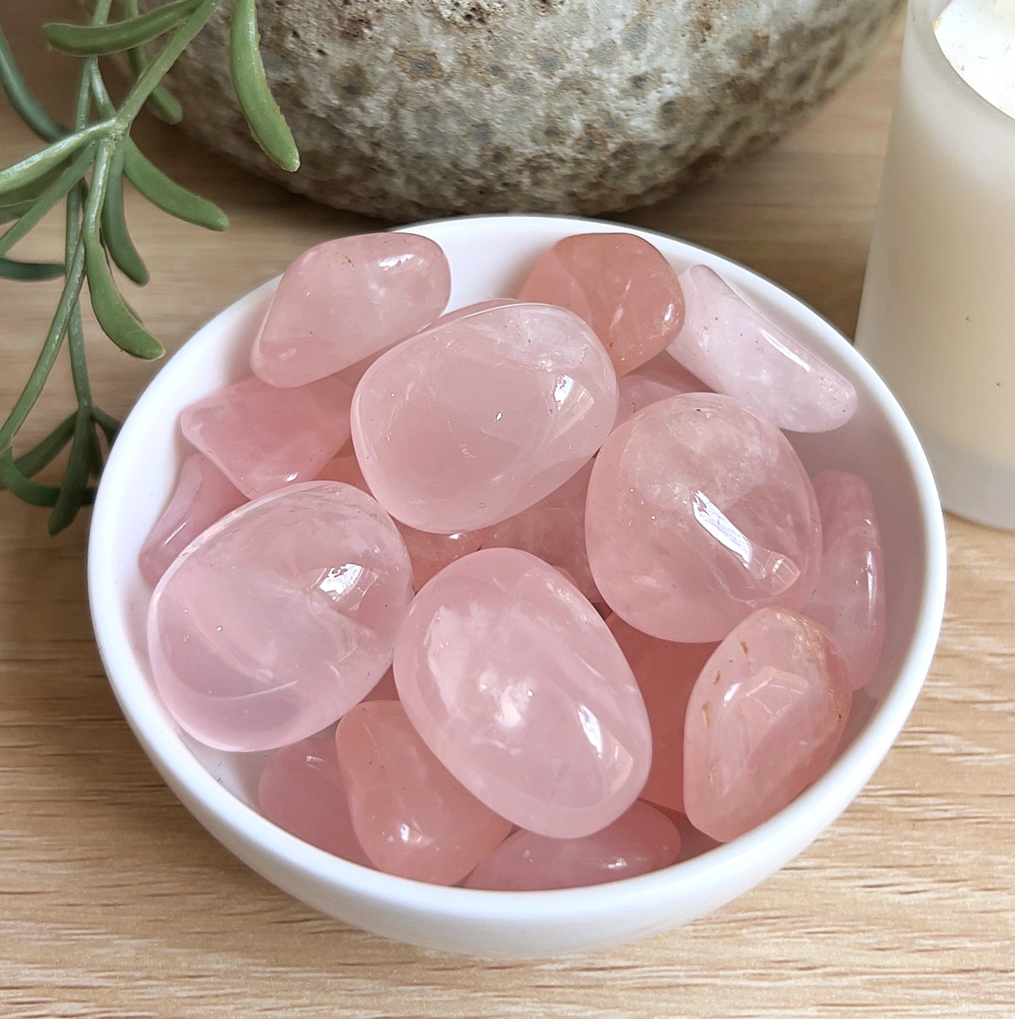 Rose Quartz tumbles in a white bowl on a wooden surface with a plant and rock in the background