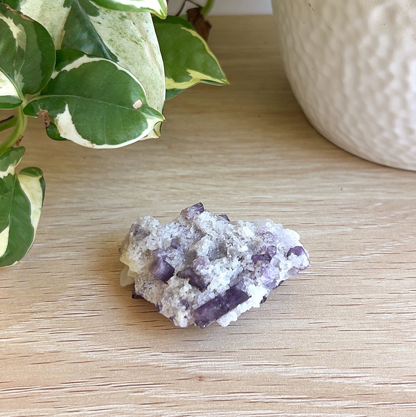 Scapoilte in Calcite on a wooden surface with a plant in the background
