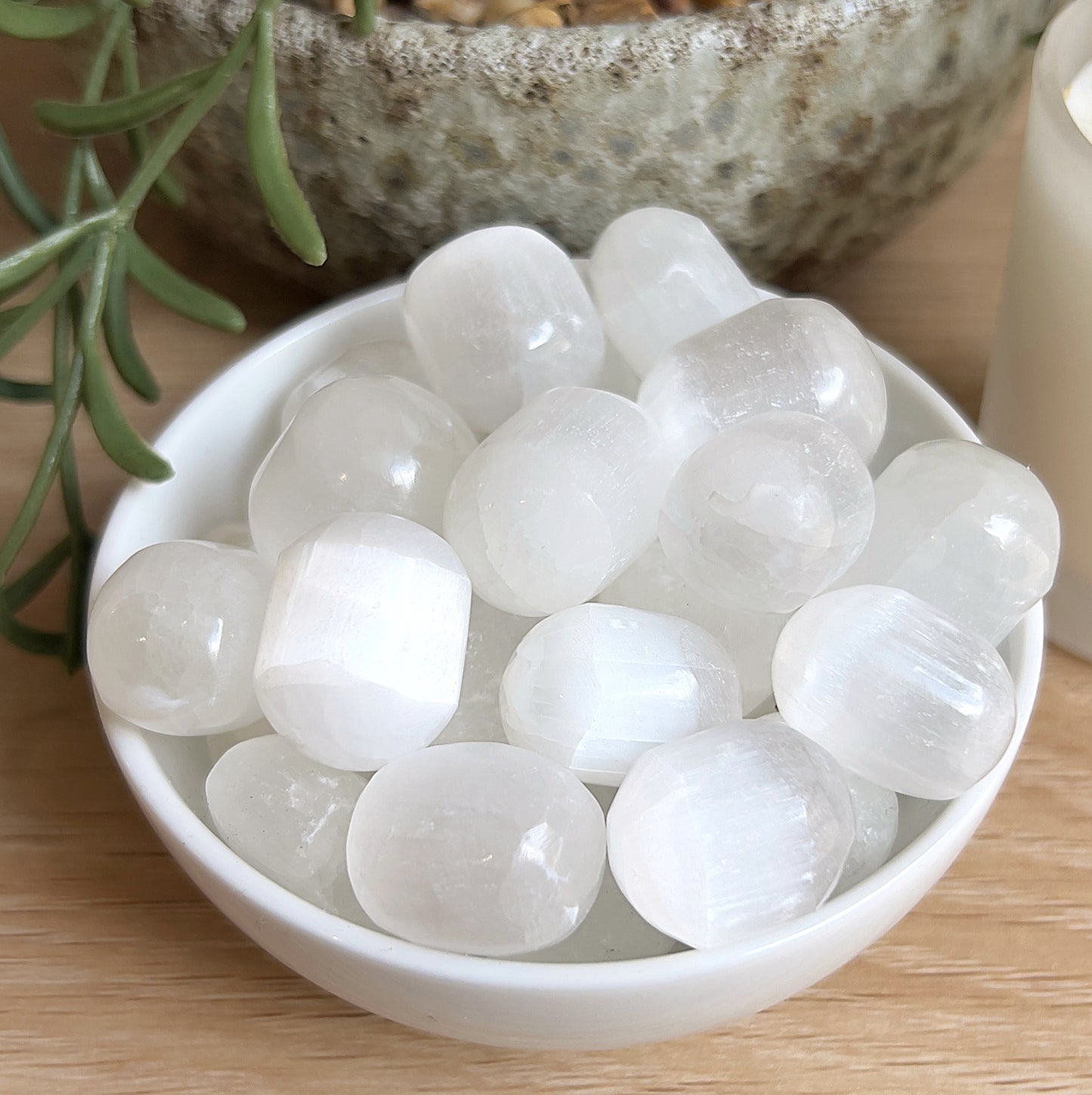 Selenite tumbles in a white bowl on a wooden surface with a plant in the background