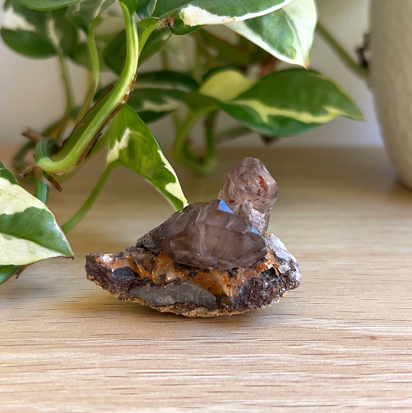 A 5cm Super 7 Amethyst on wooden surface with a plant in the background