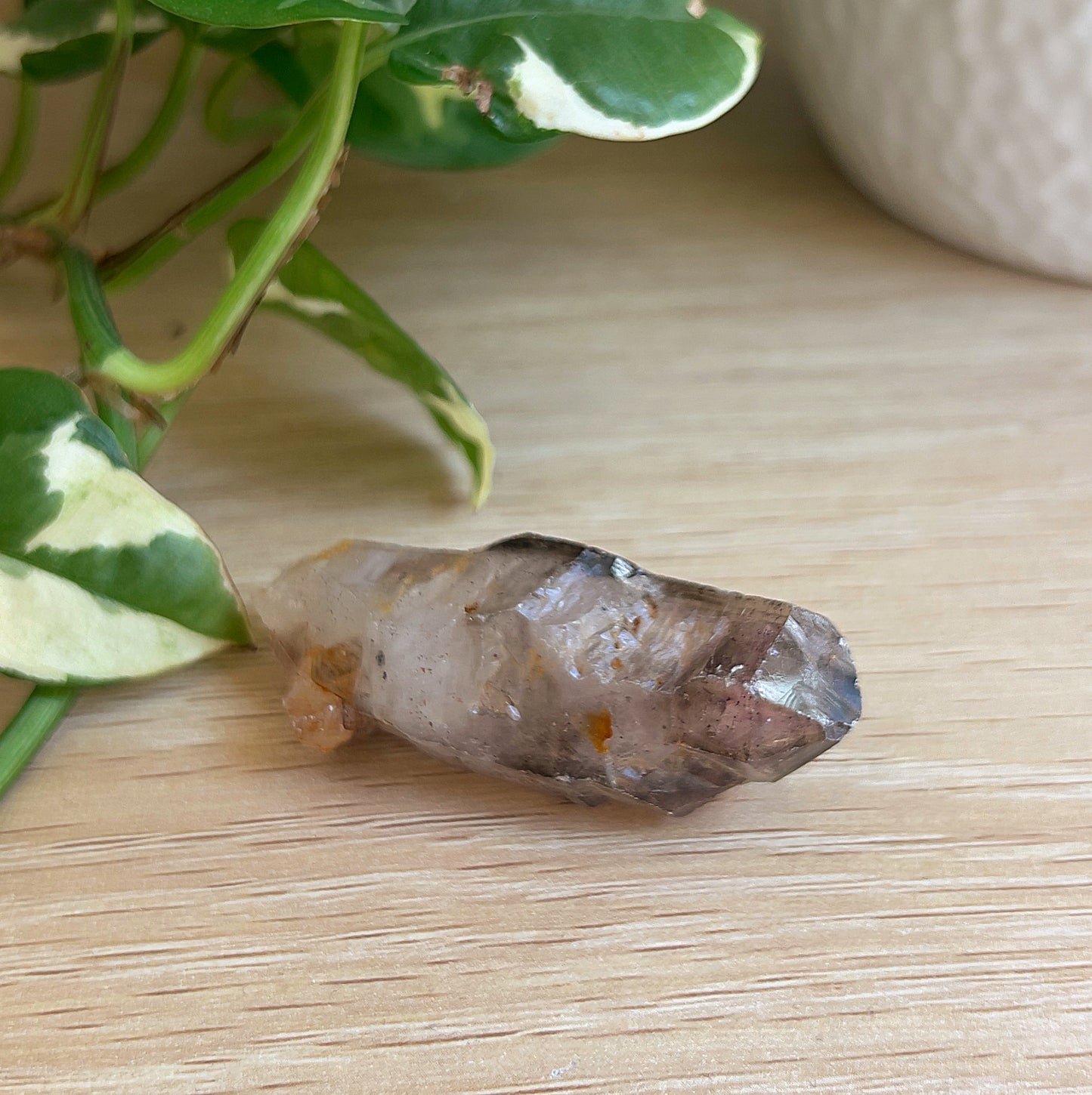 Super 7 crystal on a wooden surface with a plant in the background