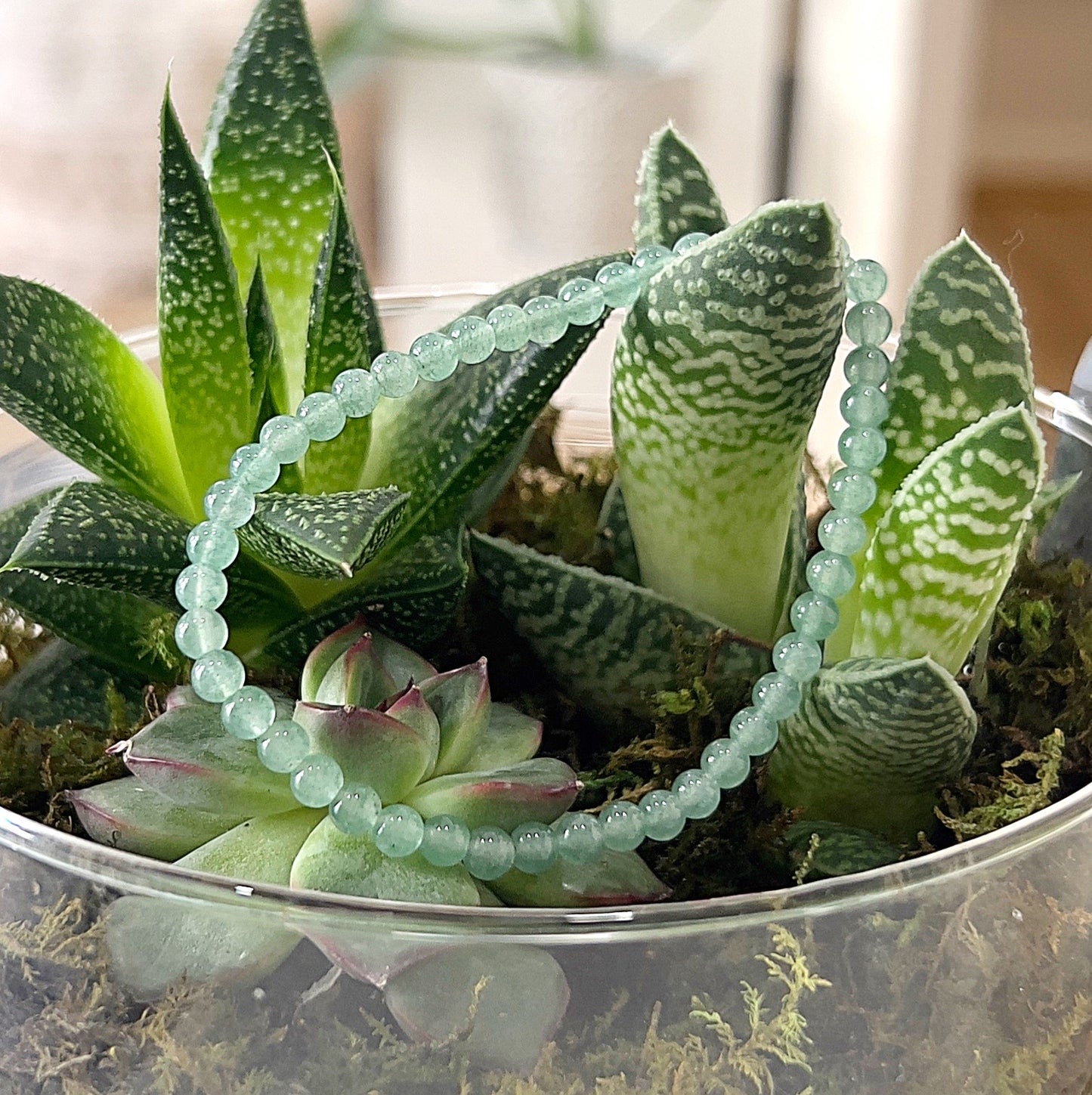 A close-up image of a Green Aventurine bead bracelet, elegantly displayed on a bed of lush green succulents. The bracelet features smooth, round green aventurine beads strung on a stretchy cord, showcasing the natural beauty and calming energy of the stones. | Simply Esoteric