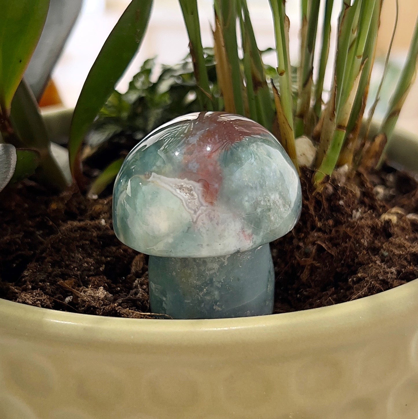 A 5.5cm Bloodstone mushroom carving displayed in a plant pot. The mushroom features deep green hues with streaks of red and earthy tones, highlighting the natural beauty of the Bloodstone. The setting emphasizes the mushroom’s connection to nature, making it a visually appealing and grounding decorative piece. | Simply Esoteric