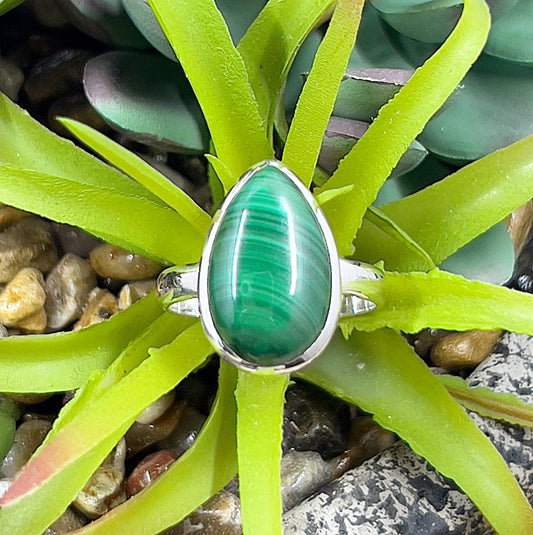 A close-up image of a sterling silver ring featuring a pear-shaped malachite stone with vibrant green hues and natural banding, set in a smooth bezel setting. The ring is displayed on a bed of green succulent leaves, showcasing its elegant design and earthy appeal. | Simply Esoteric