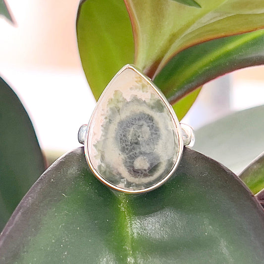 A teardrop-shaped Ocean Jasper sterling silver ring displayed on a green leaf. The stone showcases unique green, white, and grey swirls and patterns, set in a polished sterling silver adjustable band, with a natural and elegant design. | Simply Esoteric
