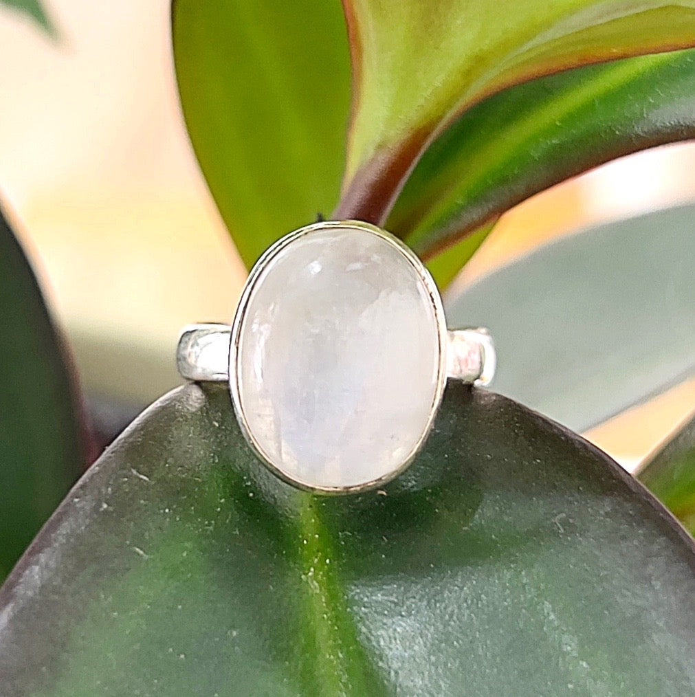 A Moonstone sterling silver ring featuring a luminous oval-shaped moonstone set in a smooth sterling silver band, displayed on a vibrant green leaf for a natural and elegant presentation. | Simply Esoteric