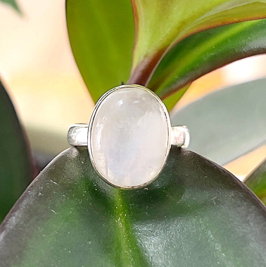 A Moonstone sterling silver ring featuring a luminous oval-shaped moonstone set in a smooth sterling silver band, displayed on a vibrant green leaf for a natural and elegant presentation. | Simply Esoteric
