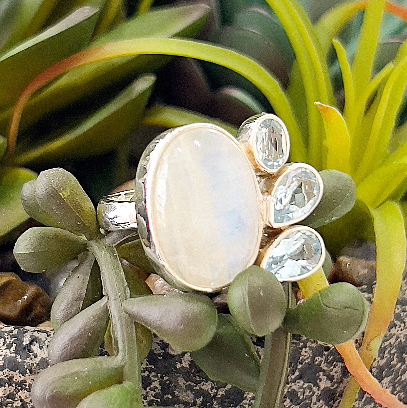 **Alt Text:** A sterling silver adjustable ring featuring a luminous oval moonstone at the center, surrounded by three faceted blue topaz gemstones set in a teardrop design, placed against green succulent leaves. The moonstone has a soft, iridescent glow, while the blue topaz stones sparkle with light blue hues. | Simply Esoteric