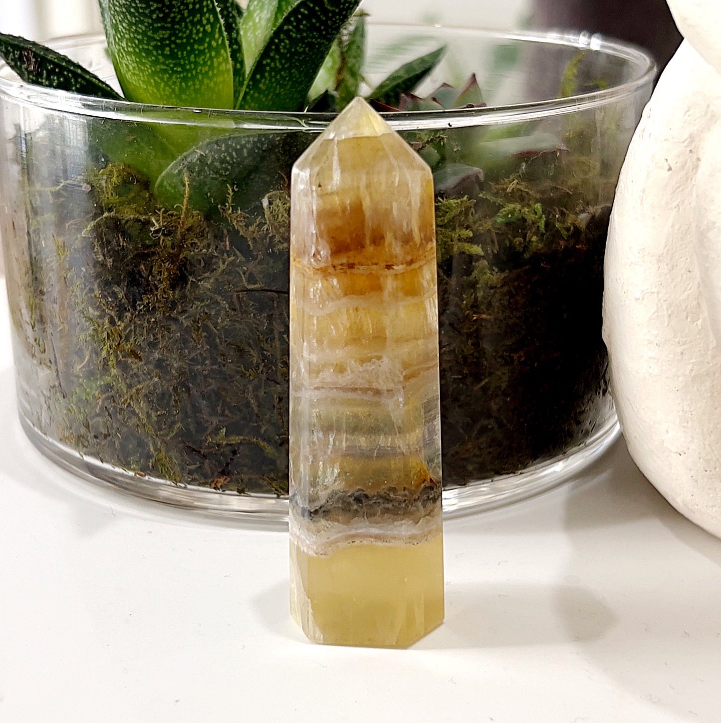 Calcite with Fluorite Tower approximately 8cm tall, featuring a blend of golden calcite and bands of fluorite, displayed with a glass pot containing a succulent plant in the background. | Simply Esoteric