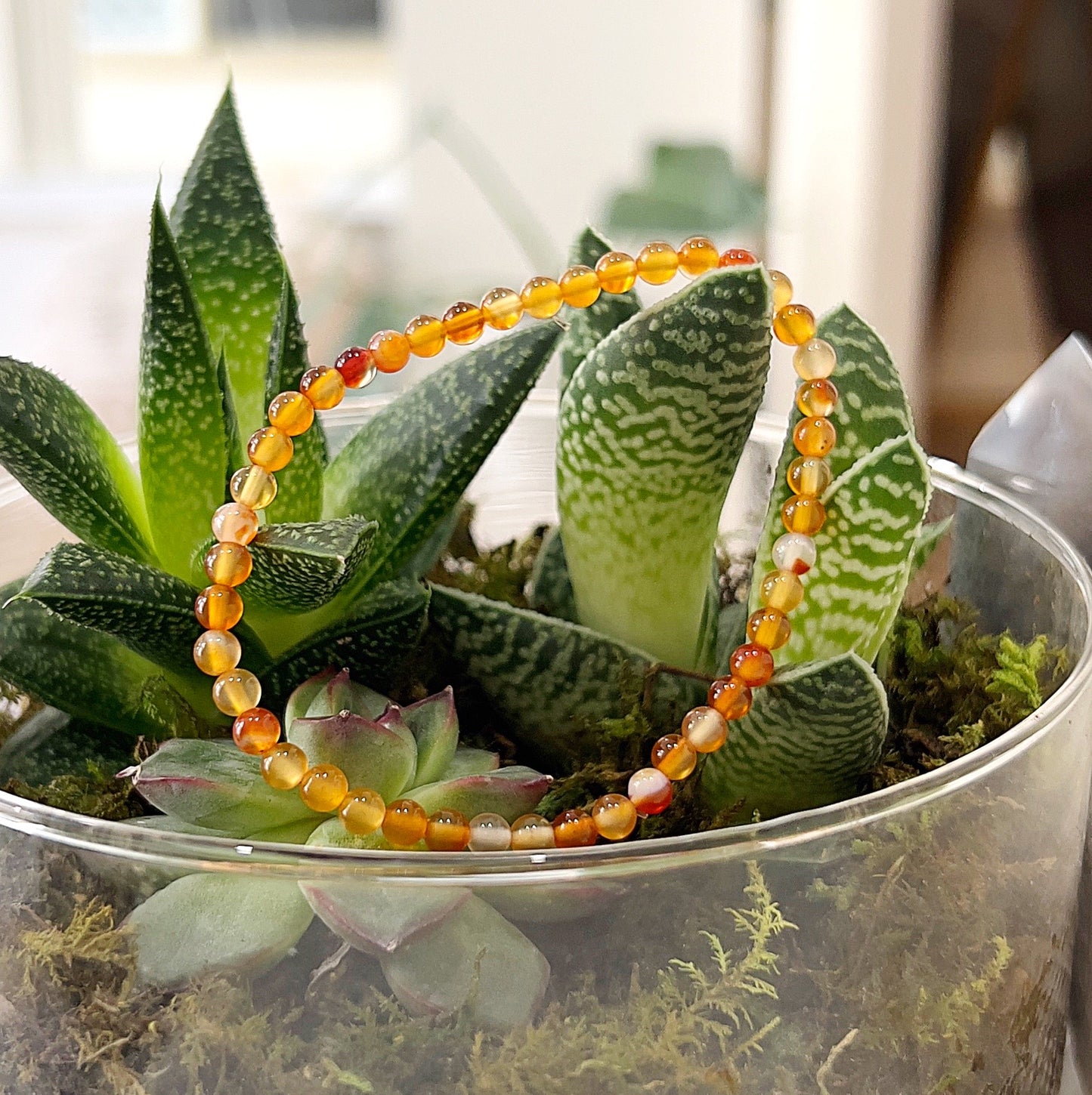 A delicate Carnelian crystal bead bracelet on stretchy cord, featuring vibrant beads in shades of orange, red, and gold, displayed in a succulent-filled glass bowl. | Simply Esoteric