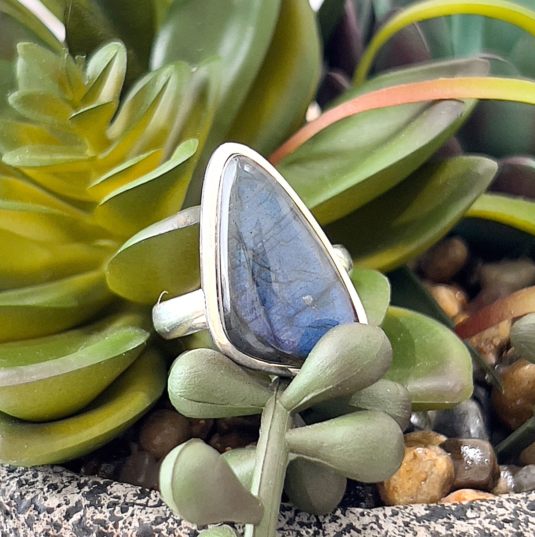 A close-up image of a Labradorite sterling silver ring, size 10. The ring features a pear-shaped Labradorite gemstone with a captivating iridescent sheen of blue, green, and gold tones, set in a smooth bezel-style sterling silver frame. The ring is displayed on a bed of vibrant green succulents with a natural, earthy background. | Simply Esoteric