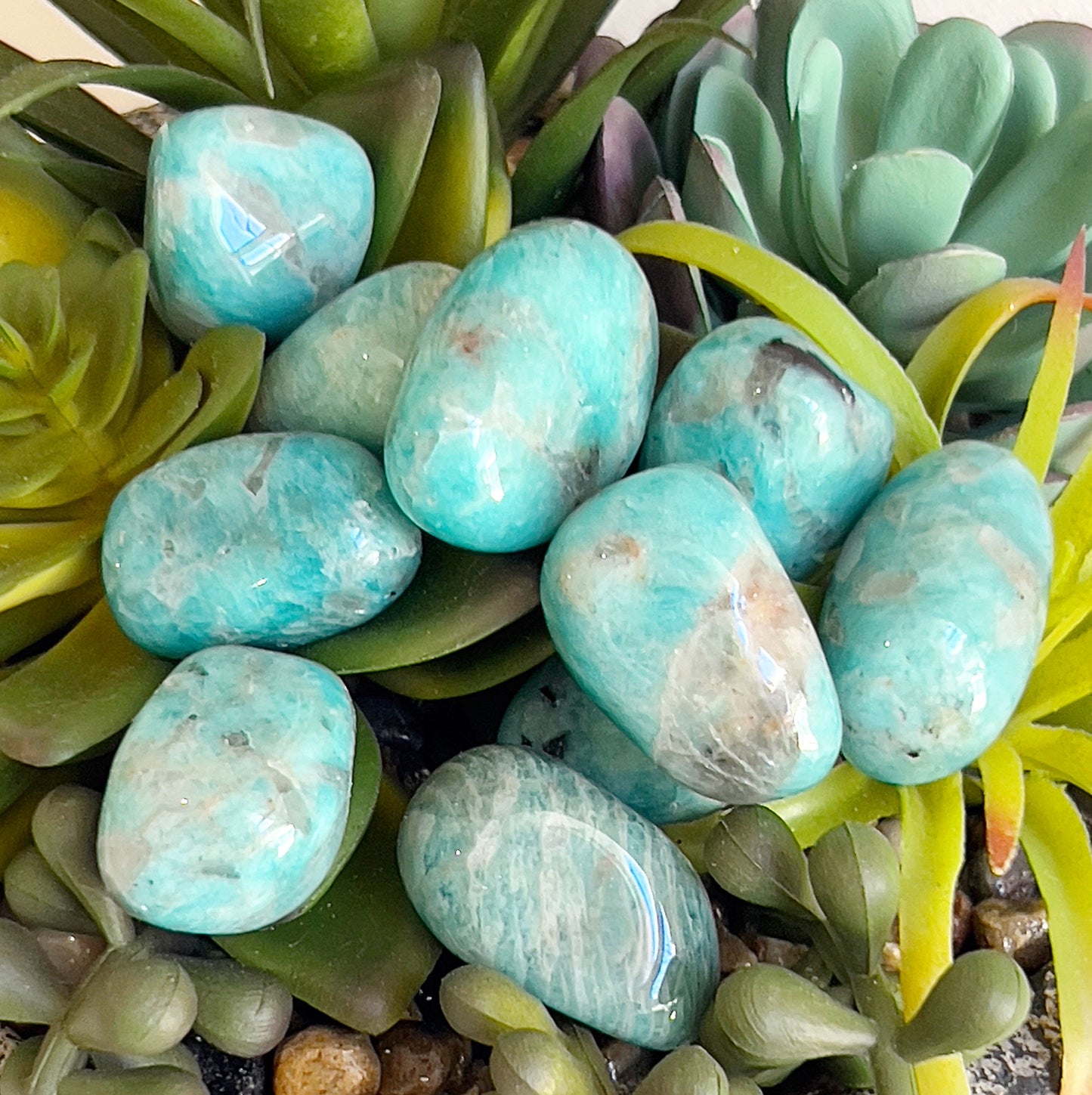 A collection of **Amazonite with Smoky Quartz tumbled stones** displayed among green succulents. The stones feature a vibrant turquoise hue with earthy smoky quartz inclusions, polished to a smooth, glossy finish. Their organic shapes and color variations highlight the natural beauty and unique energy of the crystals. | Simply Esoteric