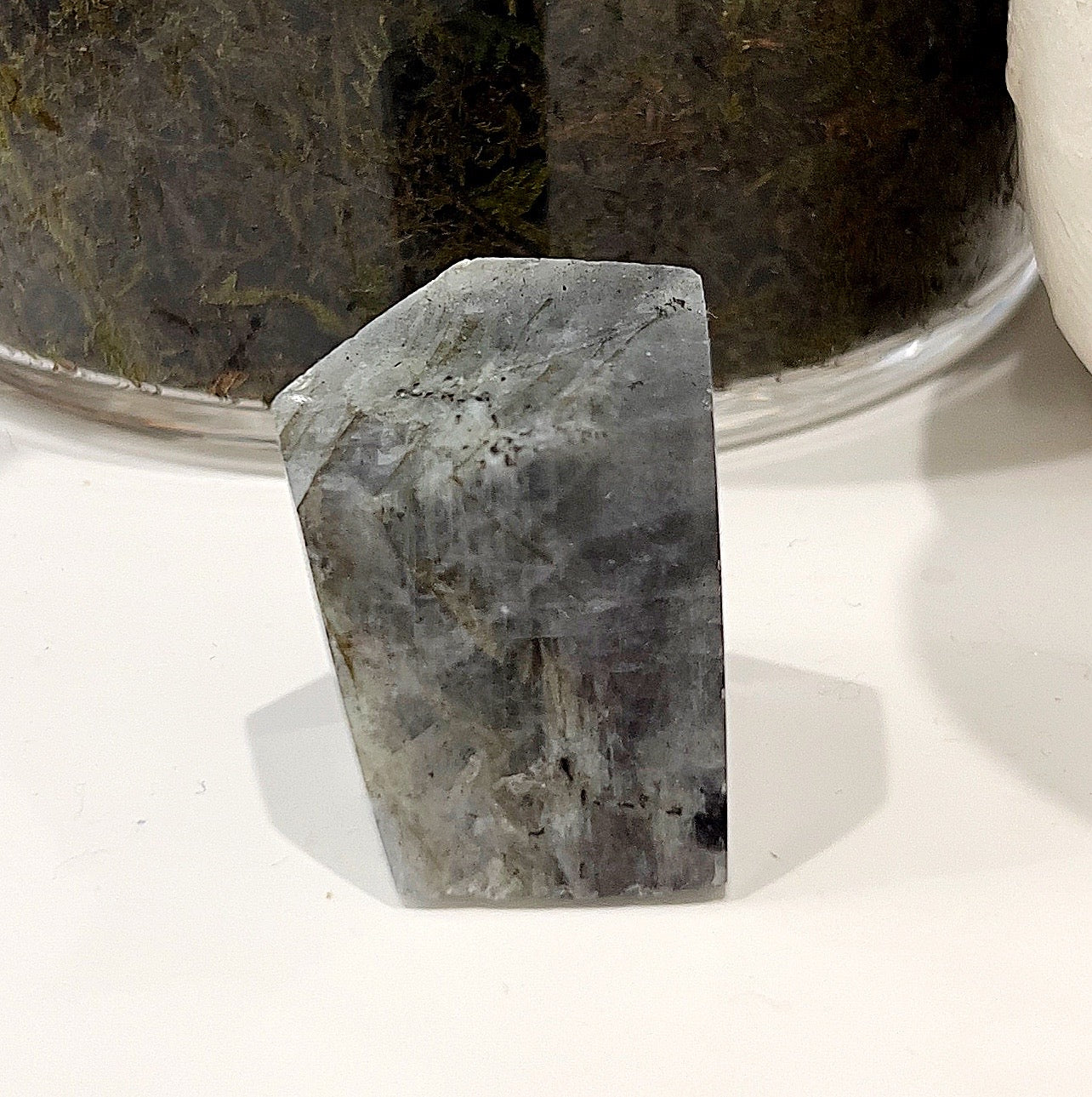 3x3cm Labradorite Geolith with rainbow flash, featuring vibrant hues of blue, green, and gold, displayed in front of a small glass pot with a succulent plant. | Simply Esoteric