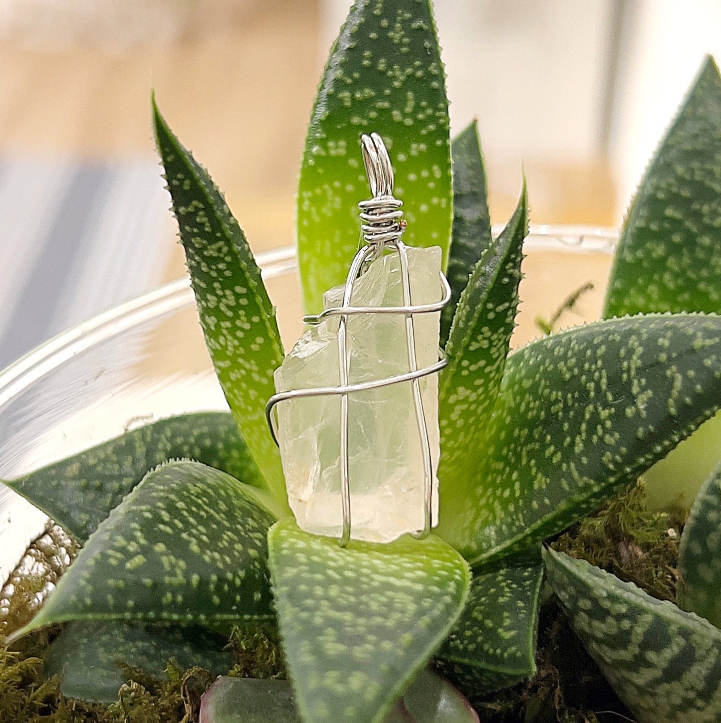 A close-up image of a rose quartz wire wrap pendant in silver. The pendant features a raw, pale pink rose quartz crystal wrapped delicately in silver wire. It is displayed against a vibrant green succulent, highlighting the natural beauty and craftsmanship of the pendant. | Simply Esoteric