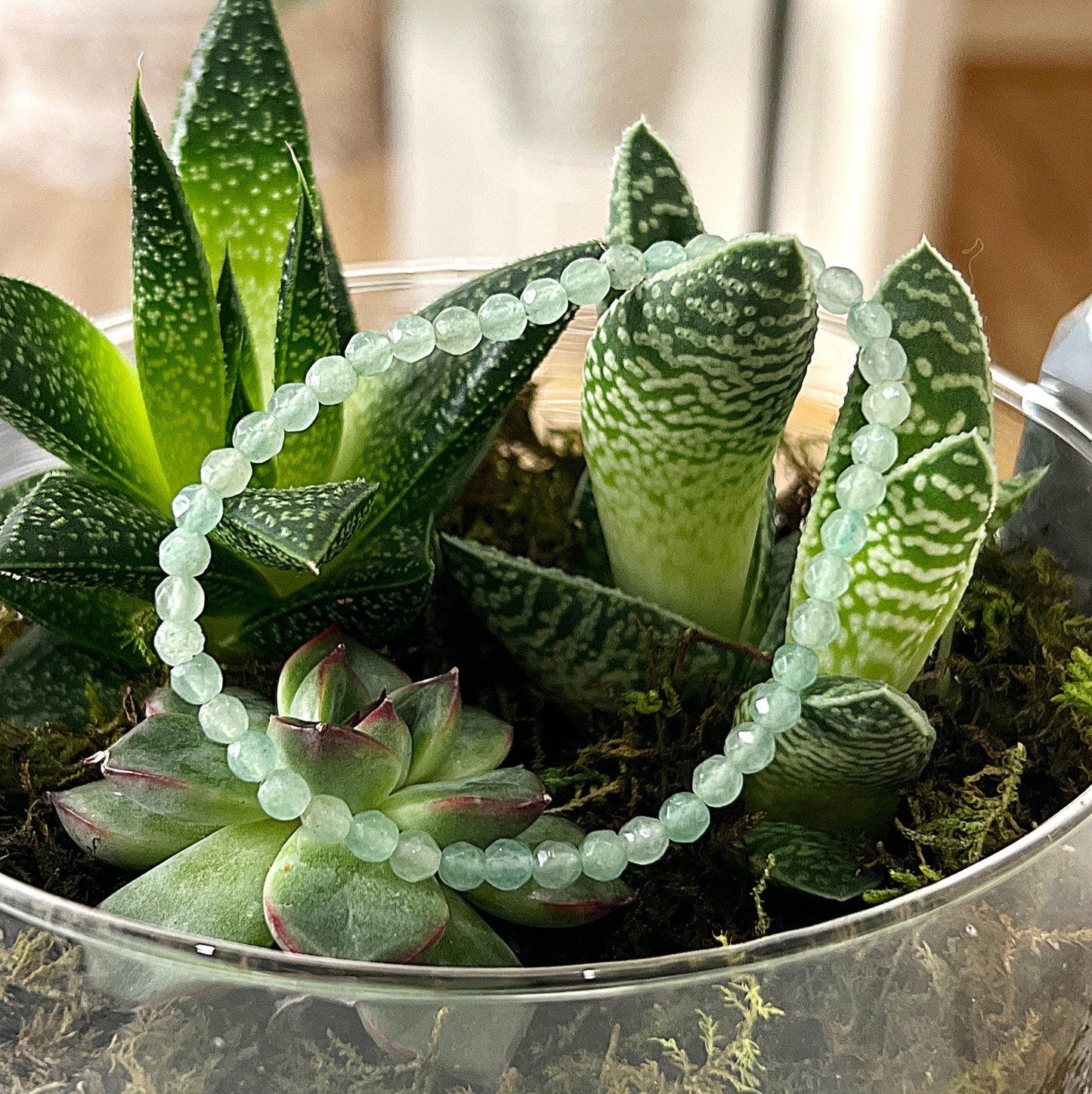 A green aventurine faceted bead bracelet displayed on a bed of lush, green succulents. The bracelet is strung on a stretchy cord, featuring vibrant green faceted beads that catch the light, creating a sparkling effect. The natural background highlights the earthy, calming vibe of the bracelet, emphasizing its connection to nature and growth. | Simply Esoteric
