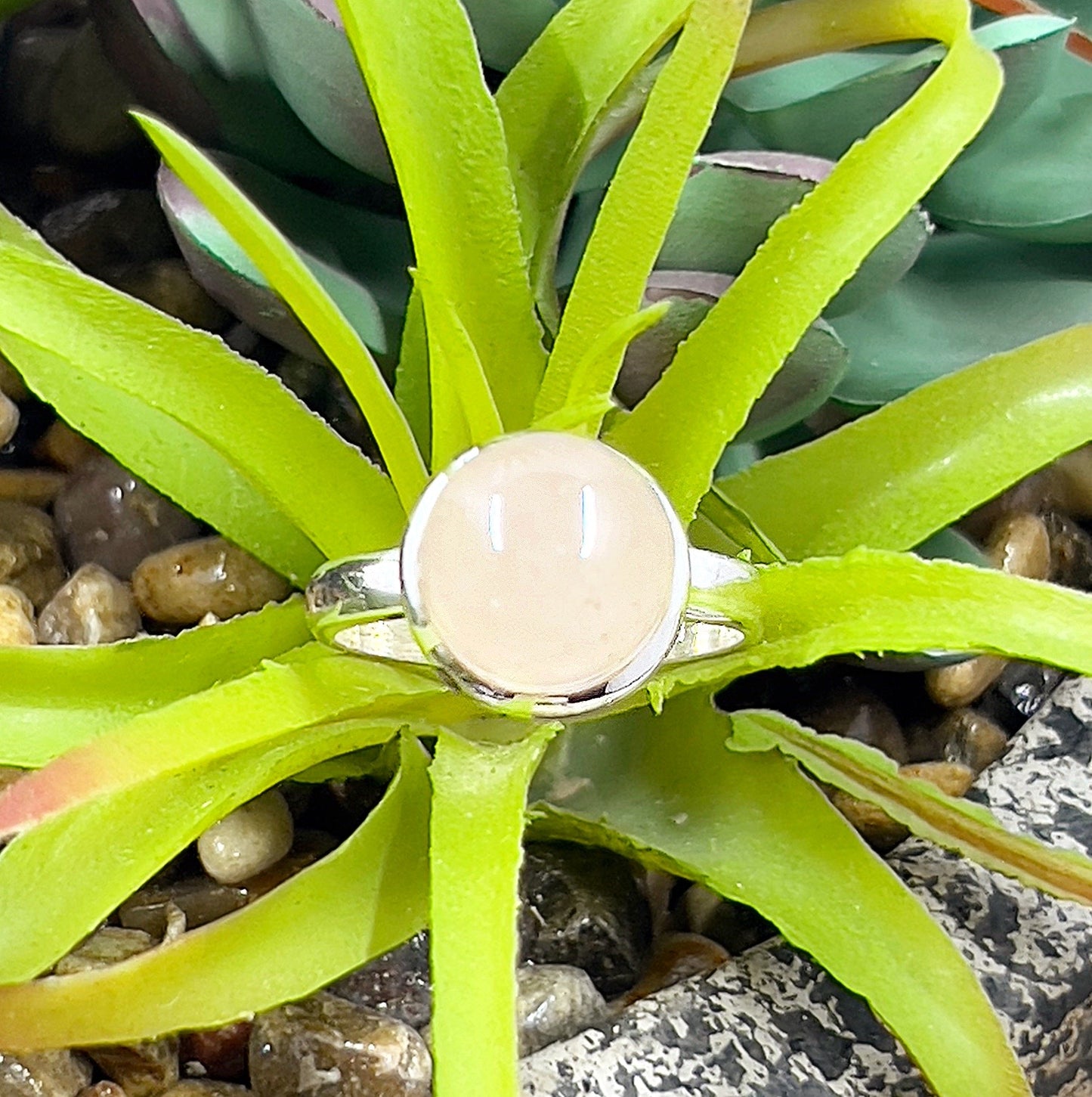 A sterling silver ring featuring a soft pink rose quartz gemstone in a bezel setting, displayed on a vibrant green succulent. The ring's elegant design and smooth polished surface enhance the gentle hue of the rose quartz, symbolizing love and compassion. | Simply Esoteric