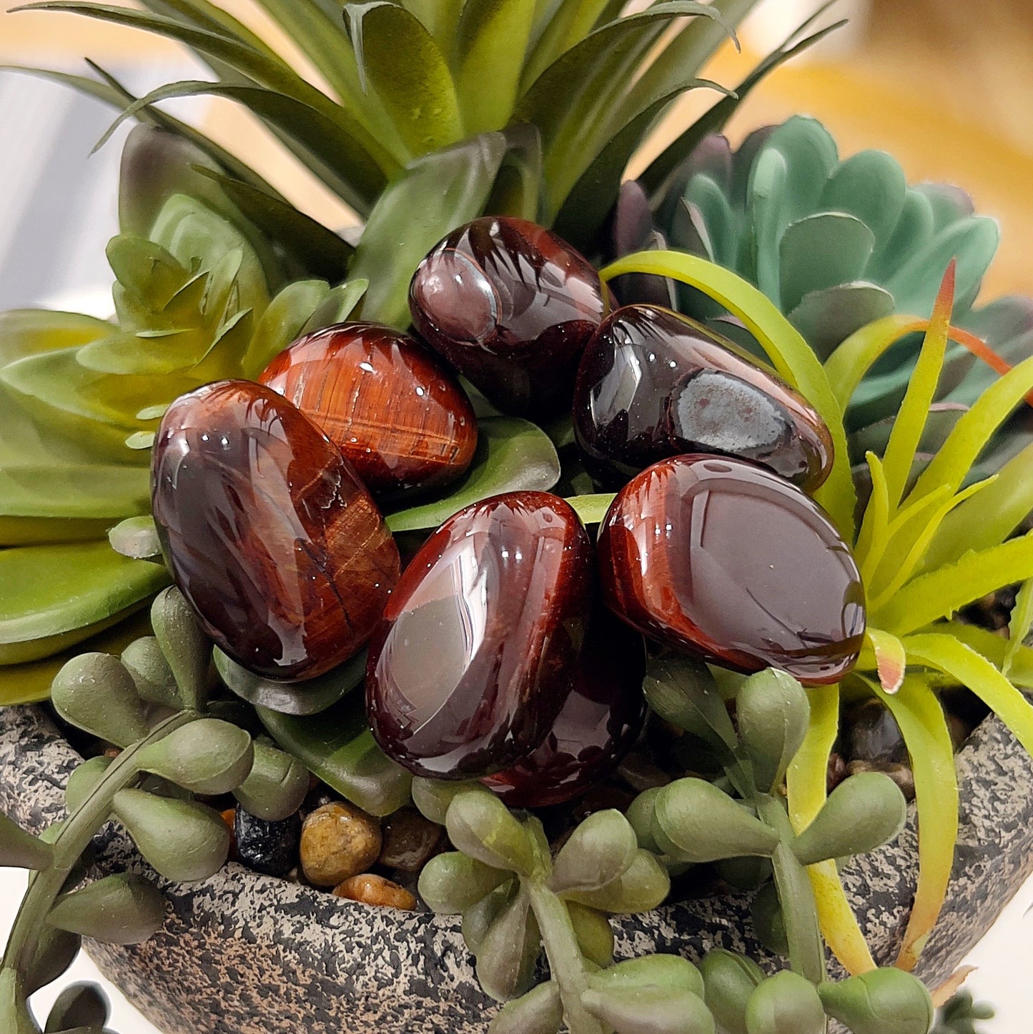 A close-up image of polished Red Tiger Eye tumbled stones, showcasing their rich reddish-brown hues with shimmering golden undertones. The stones are displayed nestled among green succulents, highlighting their smooth, glossy finish and captivating chatoyancy. Perfect for energy work or as a decorative accent. | Simply Esoteric