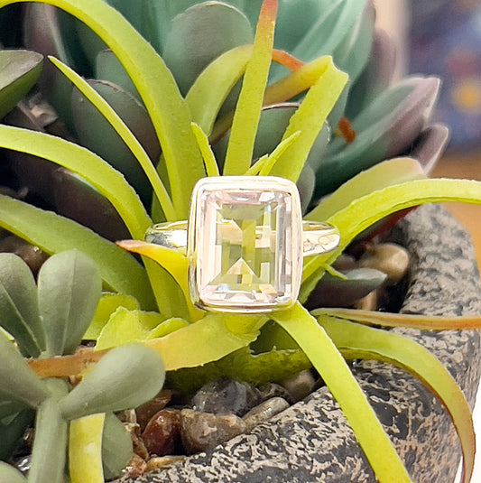 A stunning Clear Quartz Sterling Silver Ring, size 10, featuring a radiant emerald-cut clear quartz gemstone in a bezel setting. The ring is displayed against a vibrant green succulent background, highlighting its minimalist and elegant design. Perfectly suited for everyday wear or special occasions. | Simply Esoteric