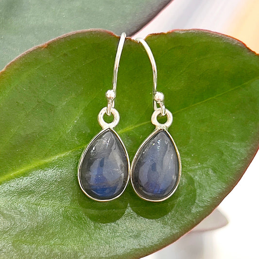 Close-up image of teardrop-shaped labradorite gemstones set in sterling silver drop earrings. The labradorite stones display an iridescent shimmer with hues of blue, green, and gold, hanging elegantly against a green leaf background. The silver setting and hooks enhance the earrings' sleek and sophisticated design. | Simply Esoteric