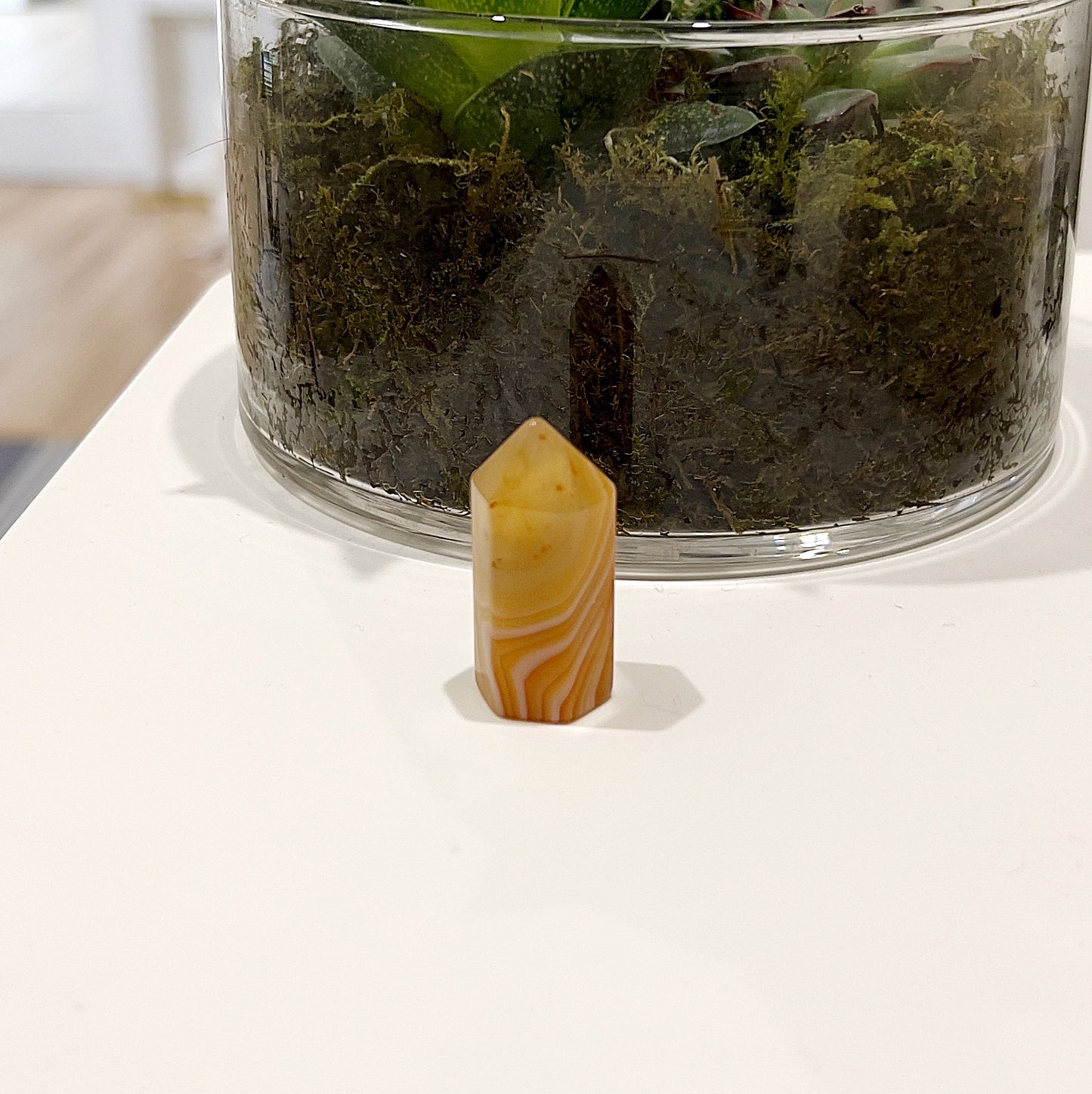 A small Carnelian Tower, approximately 3cm tall, displaying rich shades of orange and yellow with unique banding, positioned in front of a green plant. | Simply Esoteric