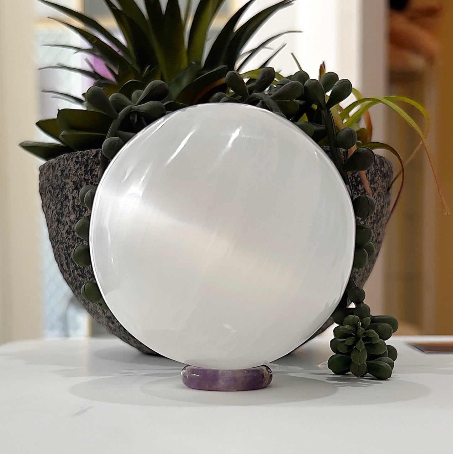 A polished Selenite sphere approximately 6cm in diameter displayed on a small amethyst stand, surrounded by vibrant green succulents. The sphere's smooth, luminous surface reflects light, showcasing its soft white glow, while the natural plant setting highlights its serene and grounding energy. | Simply Esoteric