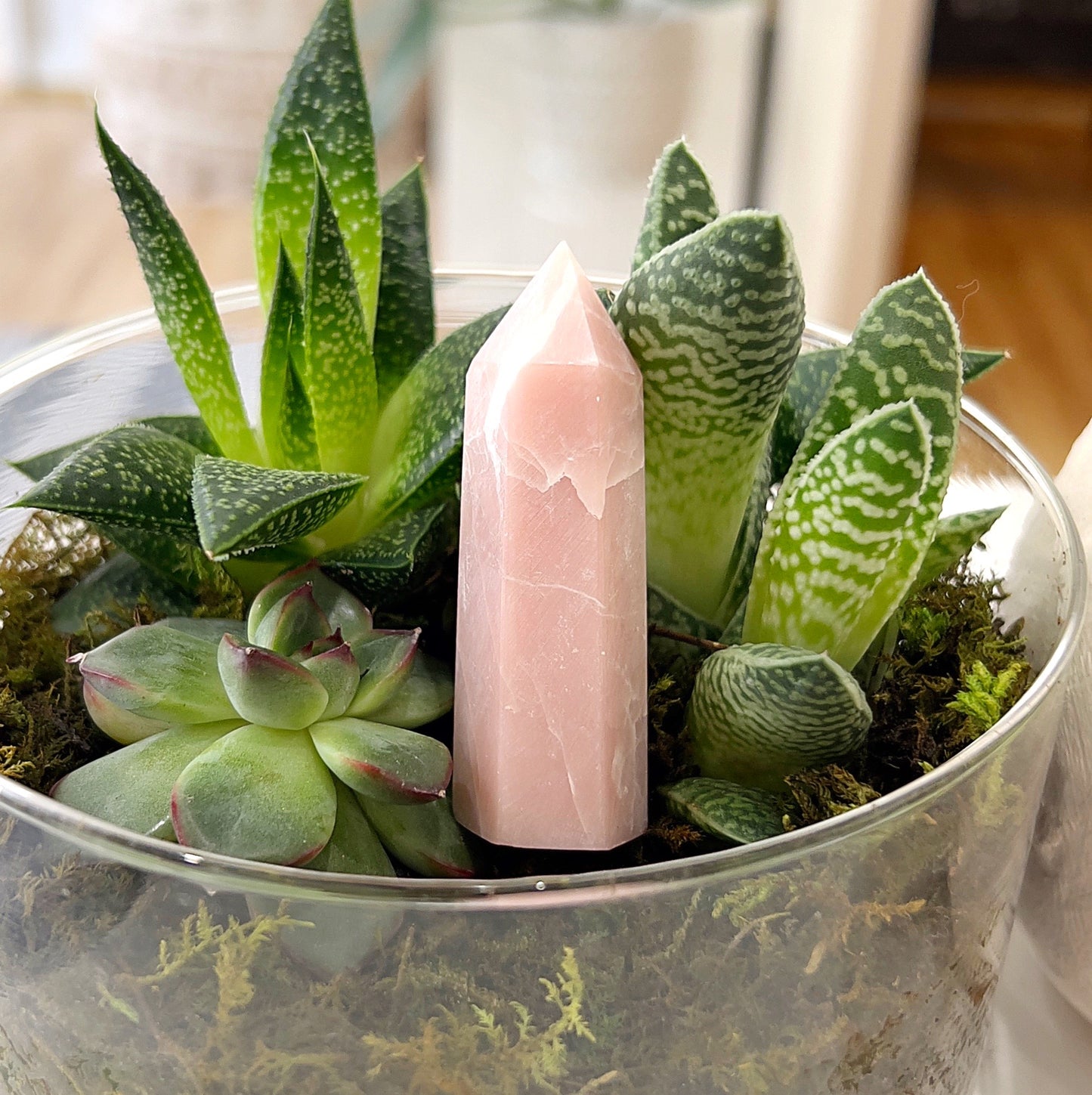 A 6cm tall Pink Opal tower with soft pink hues, standing elegantly amidst green succulents in a glass bowl. The polished crystal tower exudes a calming and tranquil energy, perfect for meditation, healing, or home decor. | Simply Esoteric