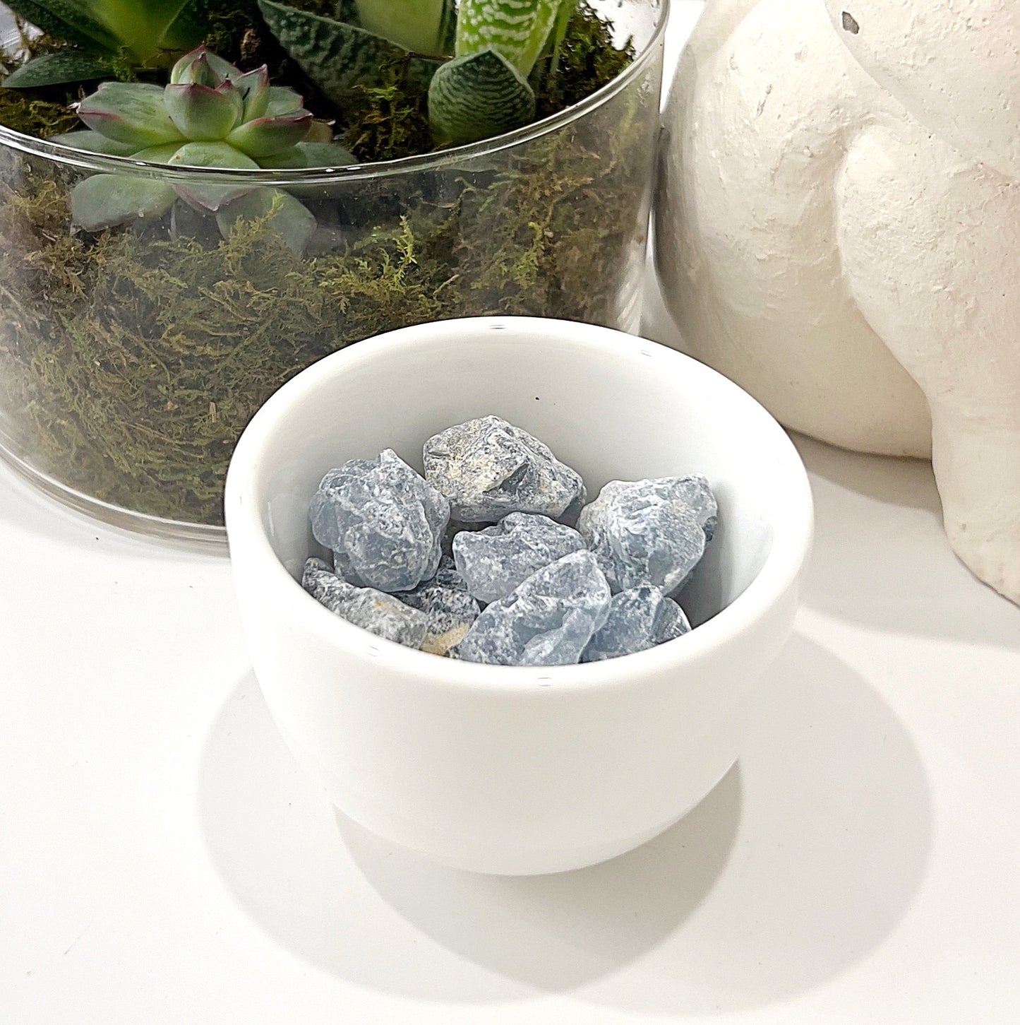 A white bowl filled with raw celestite clusters, featuring soft sky-blue crystals with natural, jagged formations. The bowl is set beside a small potted plant and a white decorative statue, creating a serene and elegant display. | Simply Esoteric