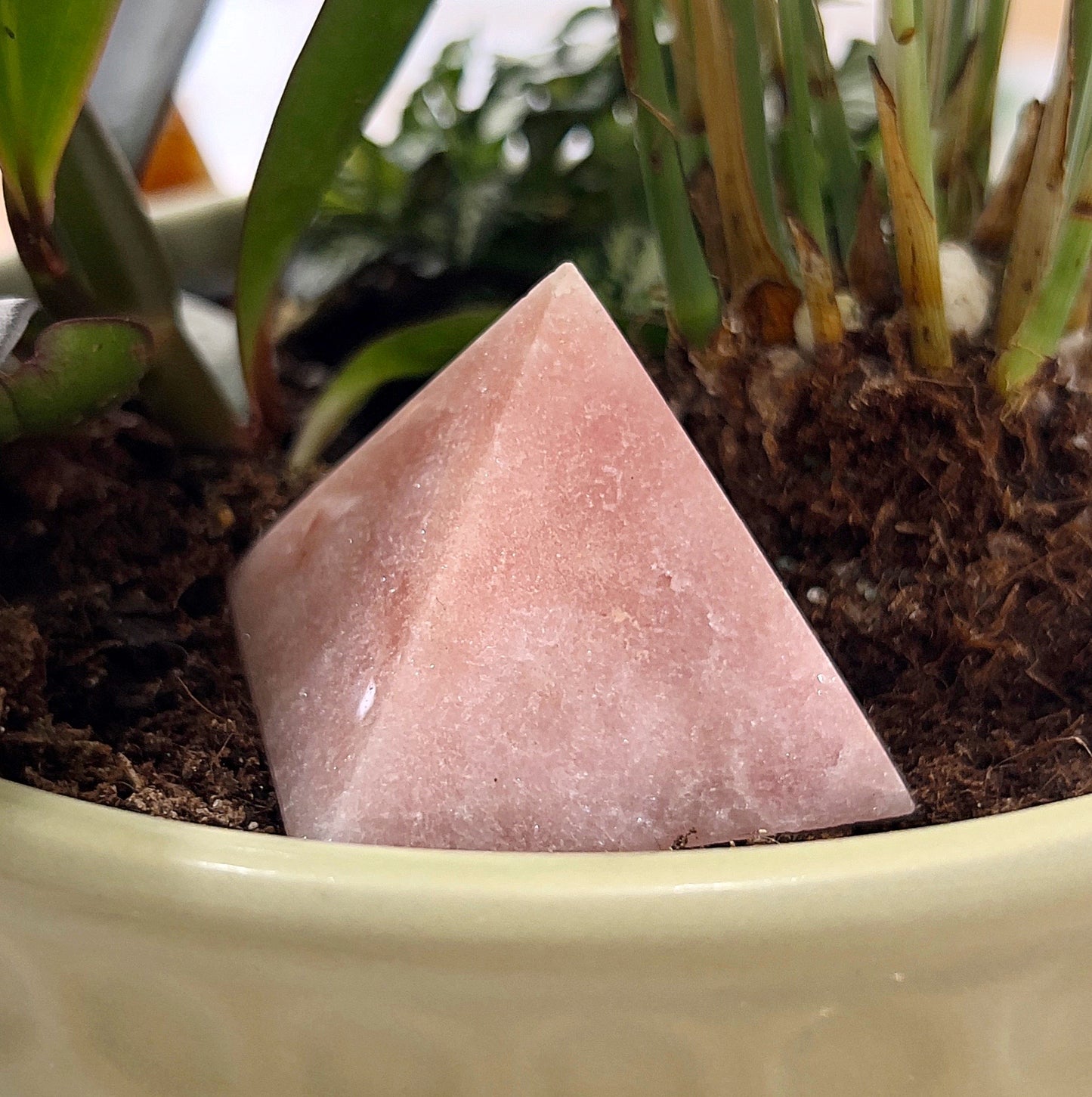 A small Pink Amethyst pyramid approximately 4cm tall, featuring soft pink hues and natural crystalline textures. The pyramid is placed on dark soil within a plant pot, surrounded by green foliage, highlighting its serene and calming appearance. | Simply Esoteric