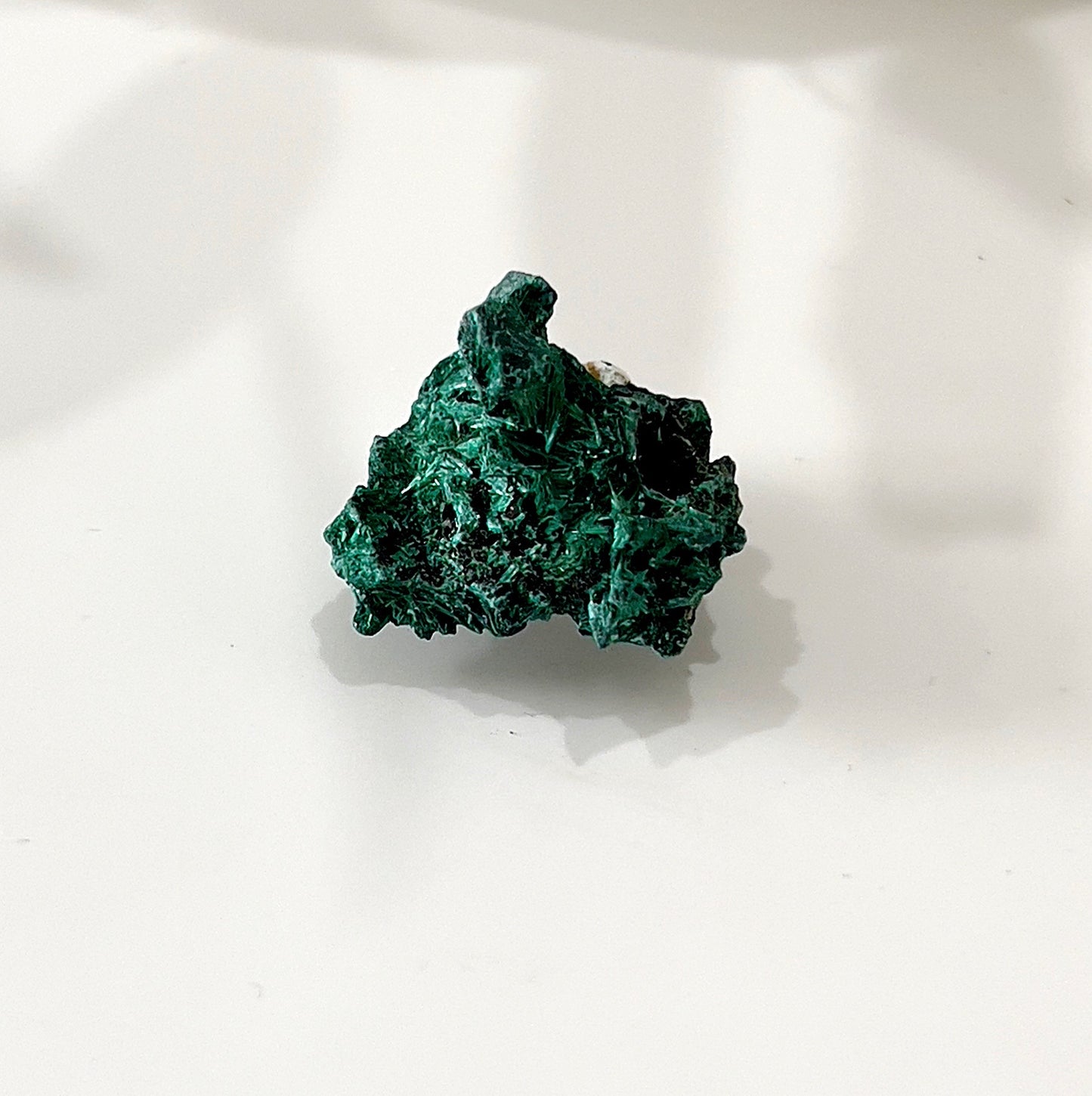A raw malachite crystal with vibrant green hues, measuring 24mm x 23mm x 26mm, showcasing its unique formations and intricate patterns. | Simply Esoteric