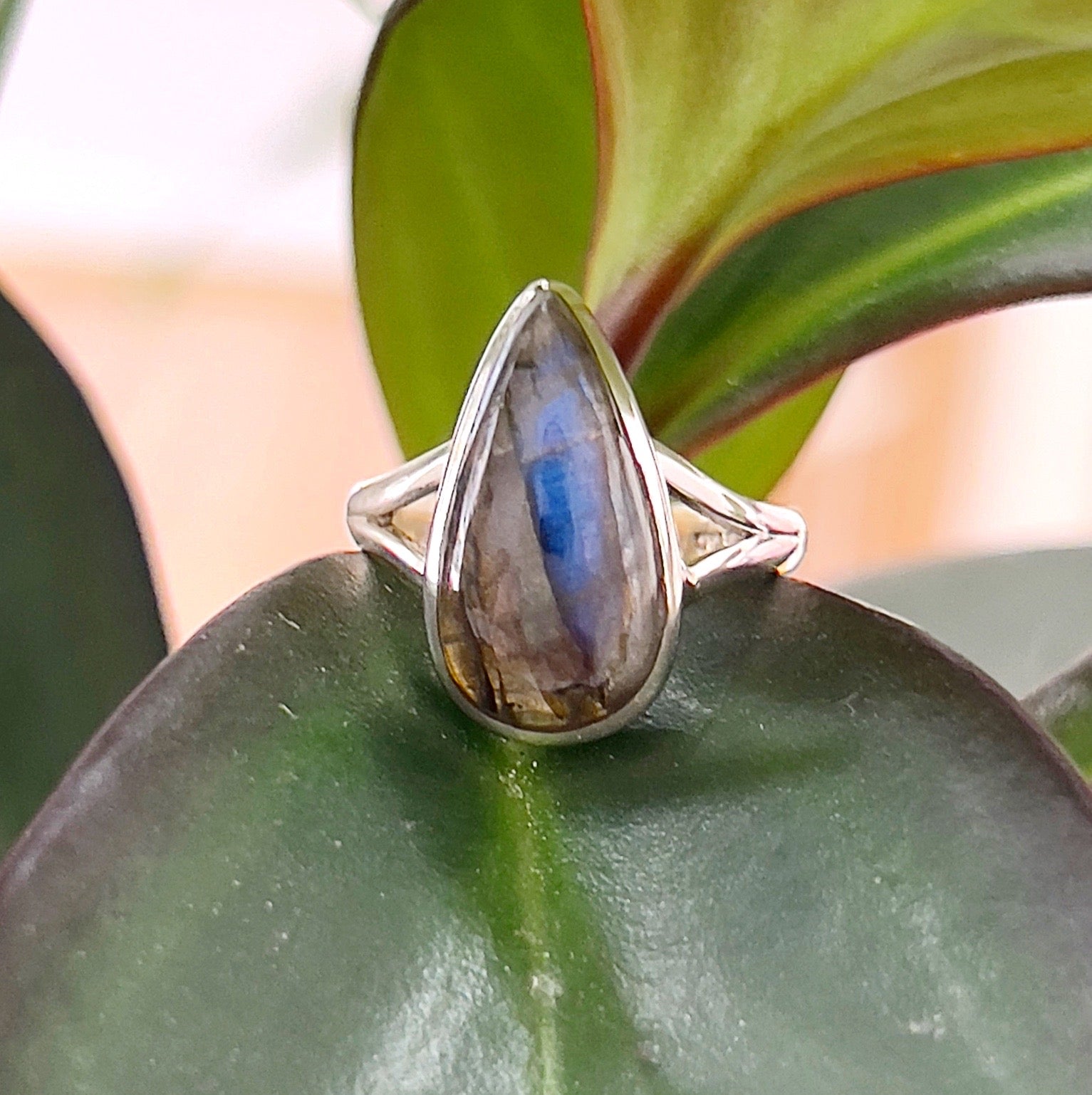 A close-up of a Labradorite sterling silver ring, size 9, displayed on a green leaf. The teardrop-shaped Labradorite gemstone features a stunning iridescent flash of blue and gray tones, set in a polished sterling silver band with an elegant design. The natural green leaf backdrop enhances the organic and mystical appeal of the ring. | Simply Esoteric