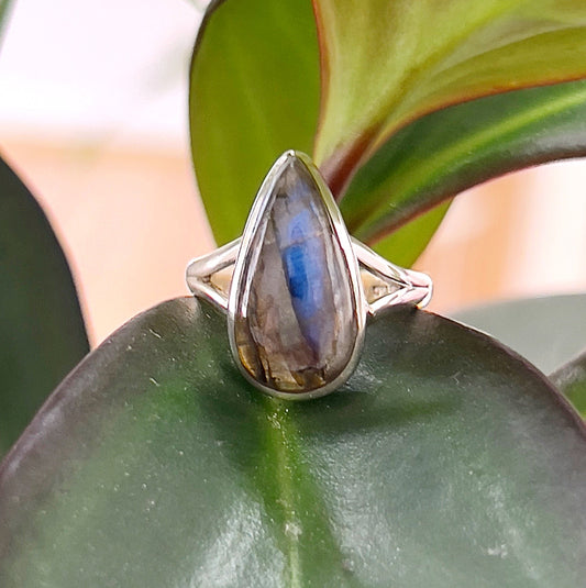 A close-up of a Labradorite sterling silver ring, size 9, displayed on a green leaf. The teardrop-shaped Labradorite gemstone features a stunning iridescent flash of blue and gray tones, set in a polished sterling silver band with an elegant design. The natural green leaf backdrop enhances the organic and mystical appeal of the ring. | Simply Esoteric