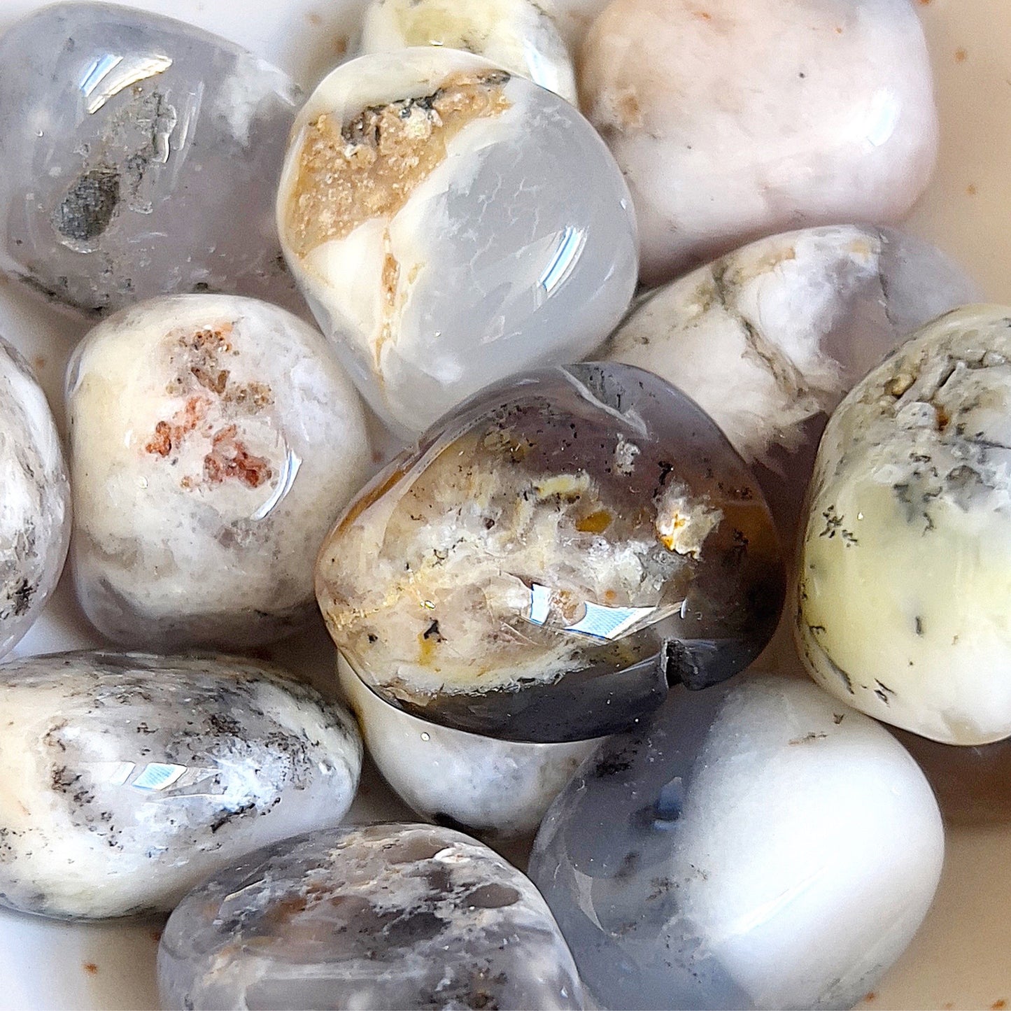 A collection of polished dendritic opal stones with a variety of patterns resembling tree branches, displayed in natural light. The stones' colors range from translucent grey to white, with fern-like inclusions in black and brown tones. | Simply Esoteric
