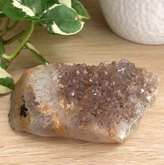 Agate Druzy Cluster on a wooden surface with a plant in the background