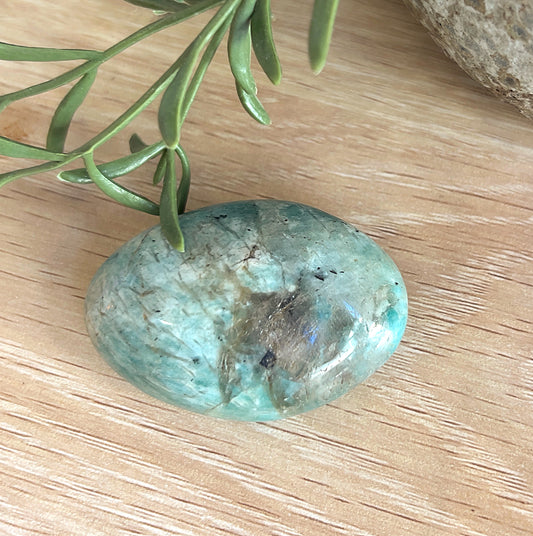 Turquoise stone on a wooden surface with green leaves