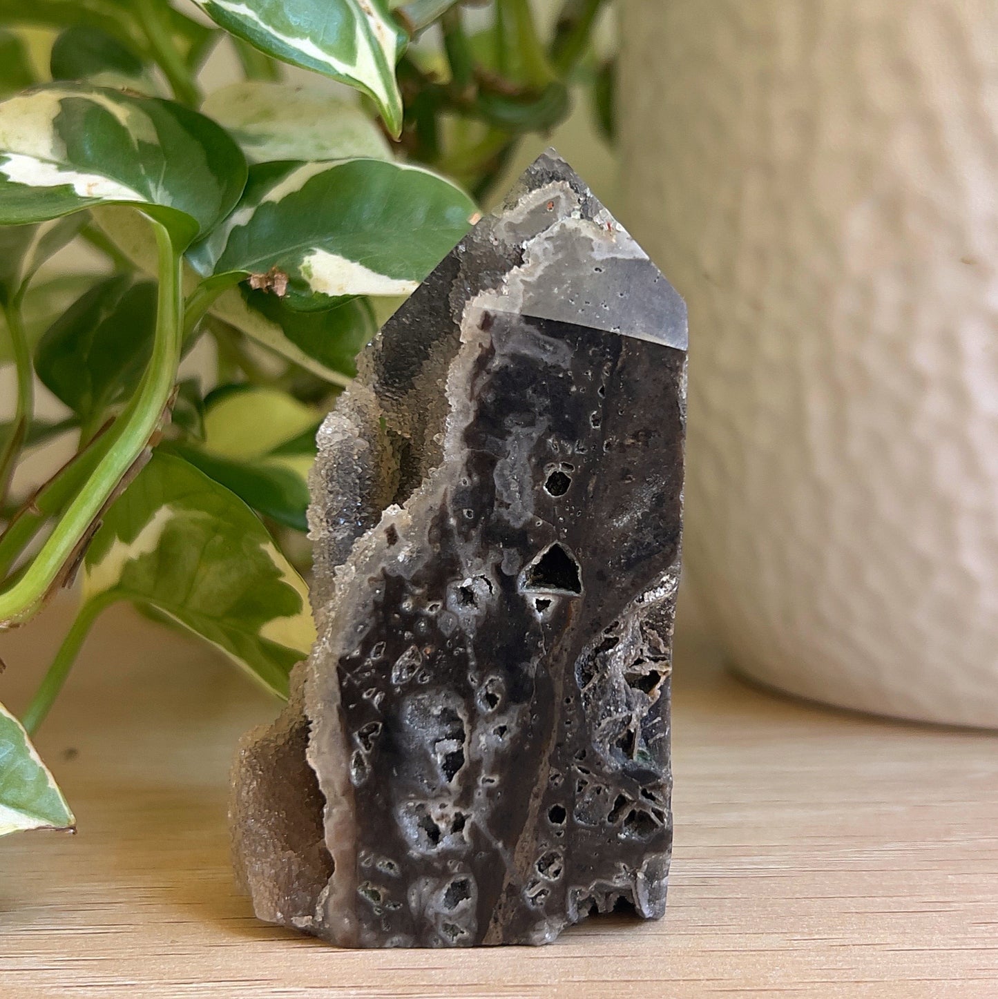 Black Agate point on wooden surface with plant in background