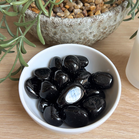 Black Tourmaline tumbles, white bowl, potted plant on woodden surface.