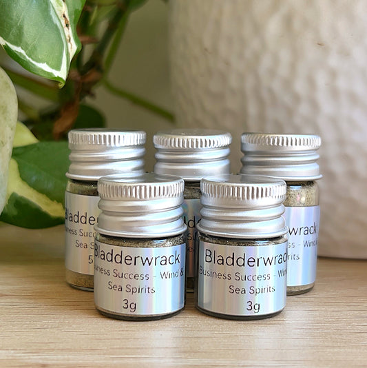 Small jars of bladderwrack seaweed (3 g and 5 g) with silver lids and labels, grouped on a wooden surface beside green plant leaves and a white pot.