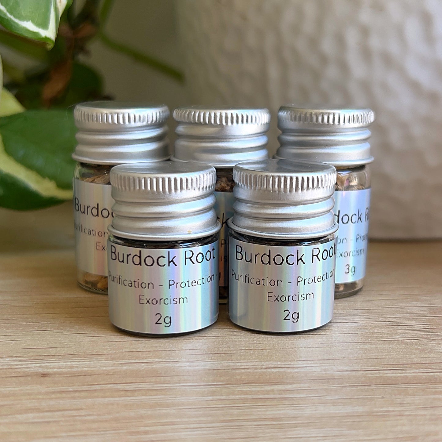 Small jars of burdock root with silver lids and labels, grouped on a wooden surface beside green plant leaves and a white pot.