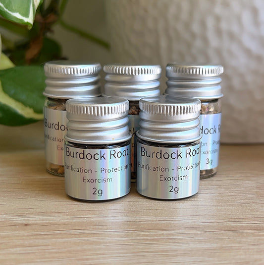 Small jars of burdock root with silver lids and labels, grouped on a wooden surface beside green plant leaves and a white pot.