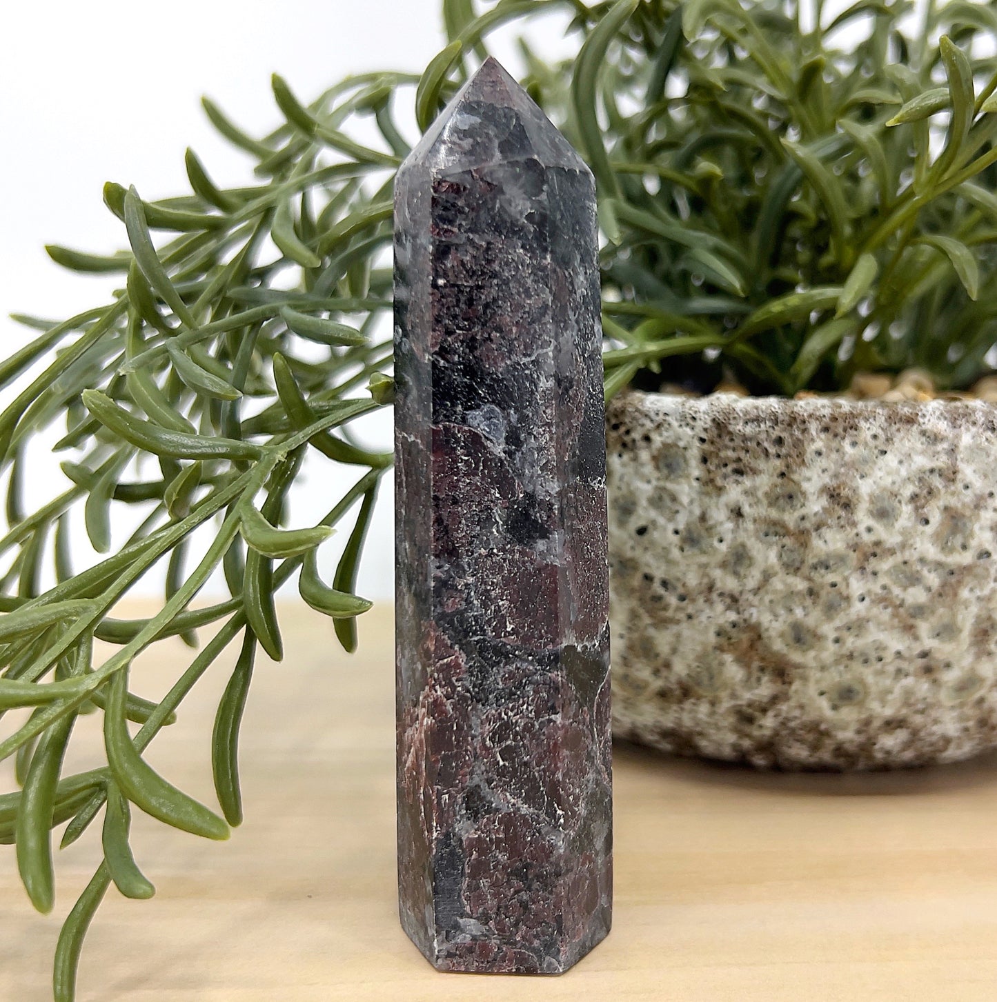 Garnet in Arfvedsonite tower 10 cm tall showing deep maroon and dark graphite tones, placed beside a green plant and stone pot – a powerful crystal for strength, manifestation and grounding.