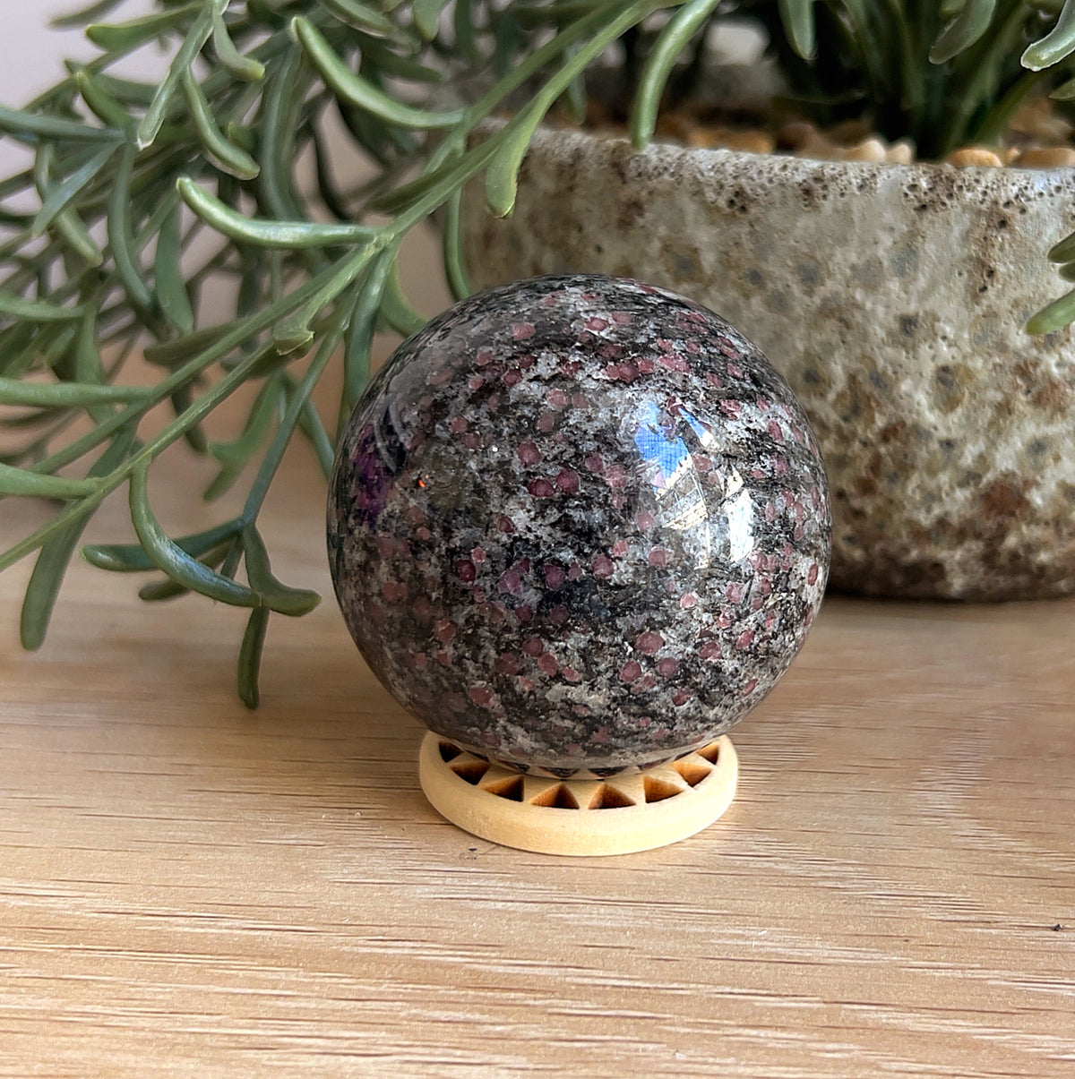 Garnet in granite sphere on wooden surface with green leaves