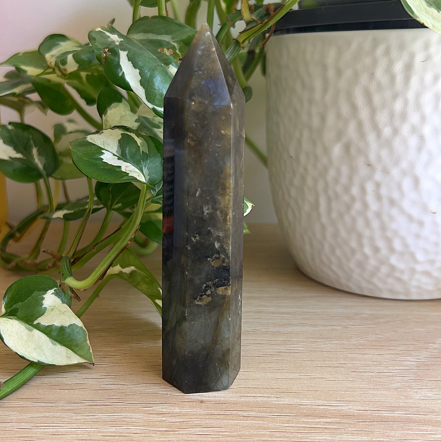 Labradorite tower on a wooden surface with plant in the background