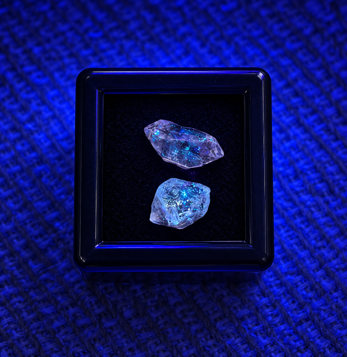 Petroleum Quartz Firefly Quartz micro mineral specimens fluorescing under UV light in black display box