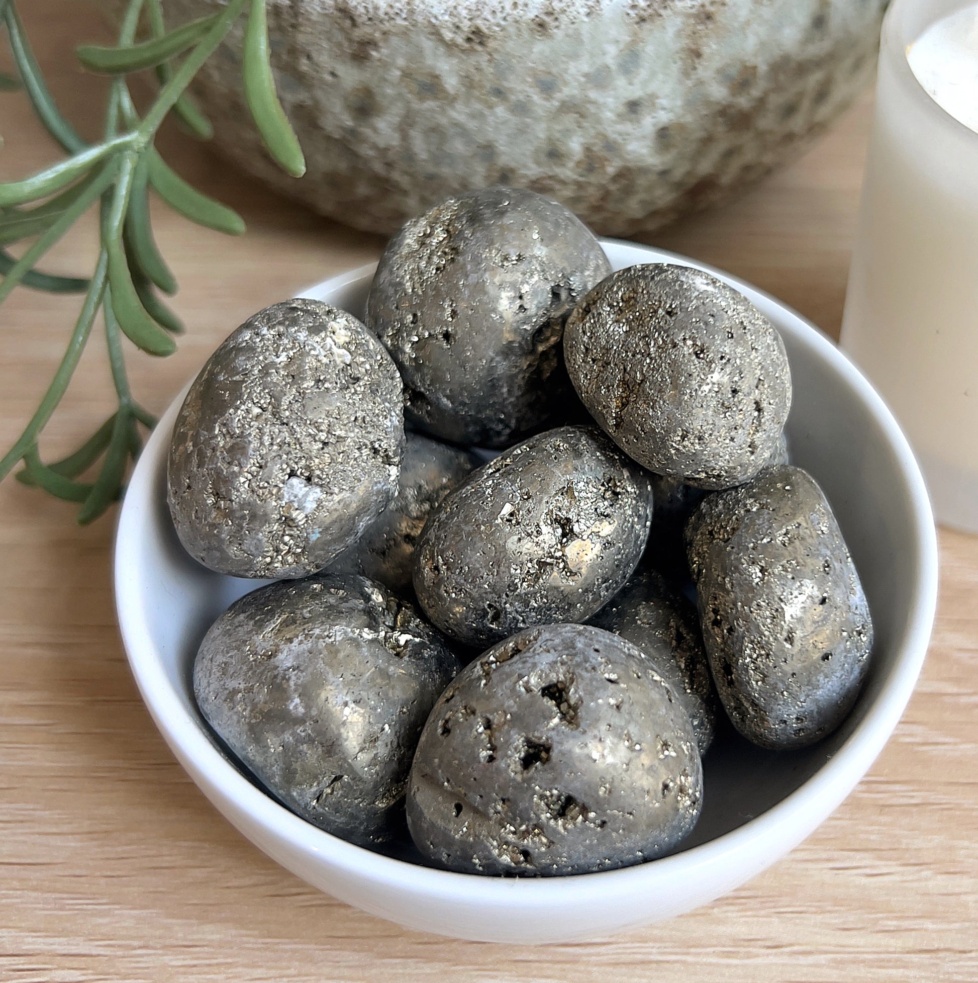 Pyrite Tumbls in white dish, with potted plant and on wodden surface.