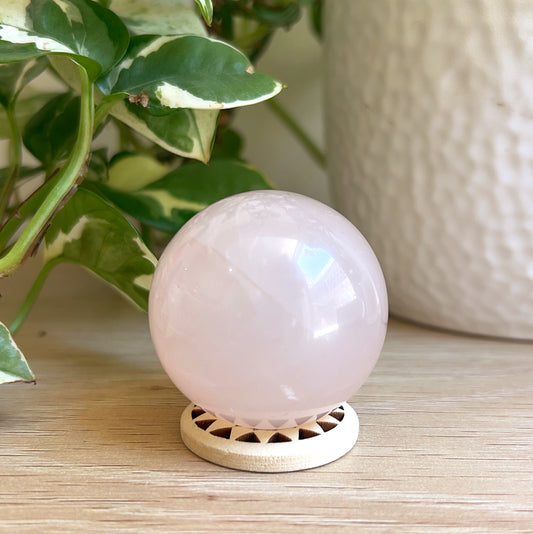 Rose quartz sphere on wooden stand with plant in background