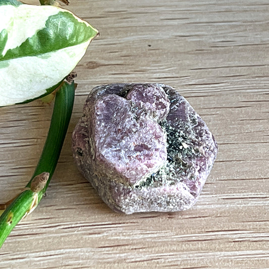 Raw Ruby Record keeper on a wooden surface with a leaf
