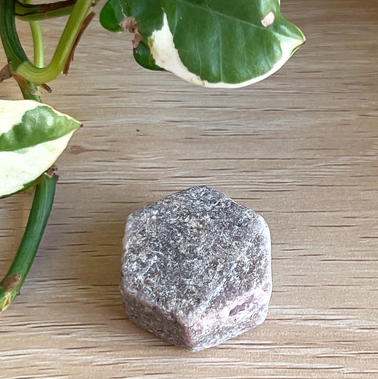 Ruby Record Keep on wooden background with leaf