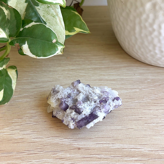 Scapoilte in Calcite on a wooden surface with a plant in the background